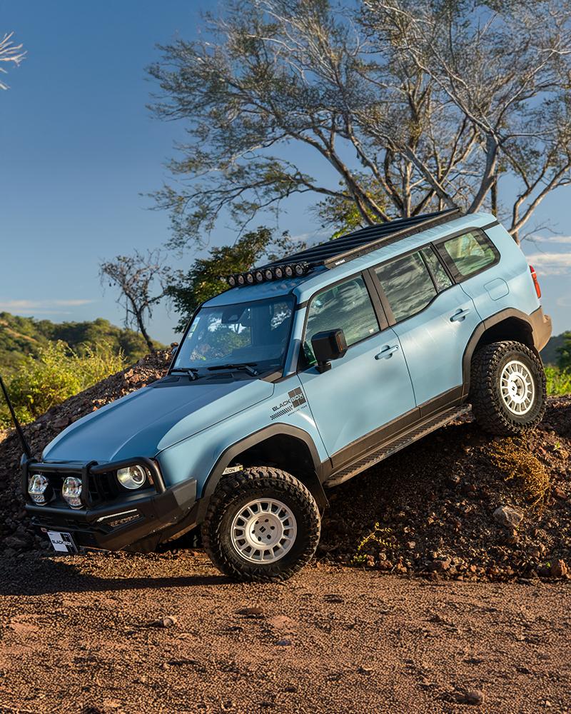 BLACK BOX SIGNATURE SERIES CUSTOM COLORS