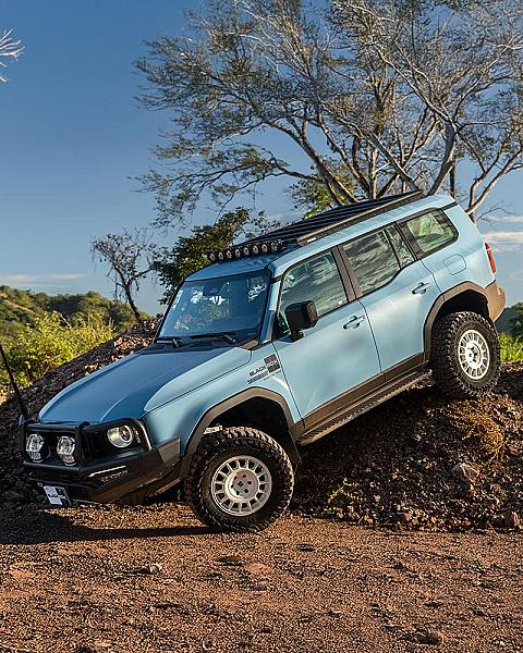 BLACK BOX SIGNATURE SERIES CUSTOM COLORS